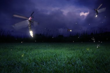 Fireflies at night clipart