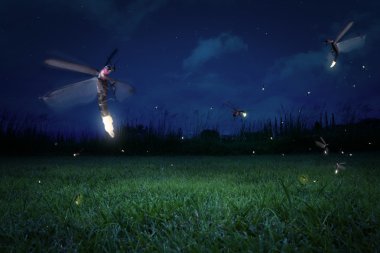 Fireflies at night clipart