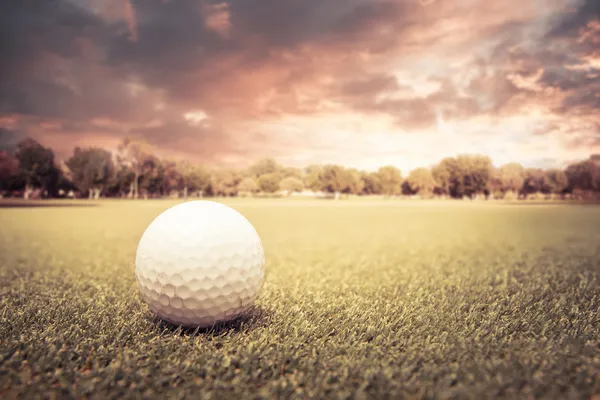Bola de golfe estendida sobre o campo — Fotografia de Stock