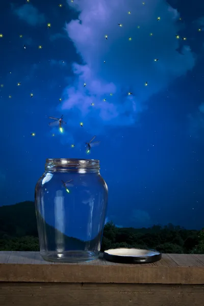 Pirilampos à noite — Fotografia de Stock