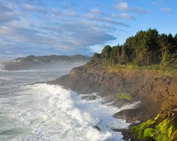 De kust van Oregon — Stockfoto