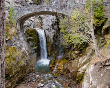 Christine Falls