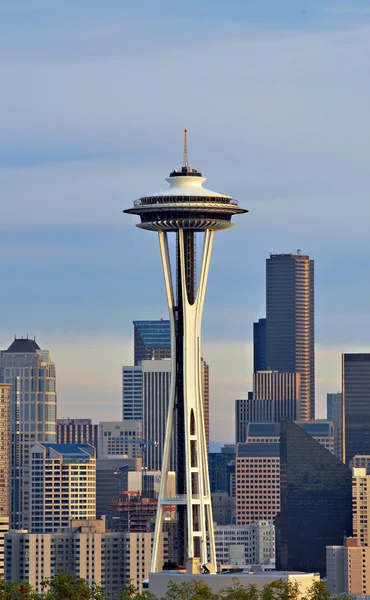 The Seattle Space Needle — Stock Photo, Image