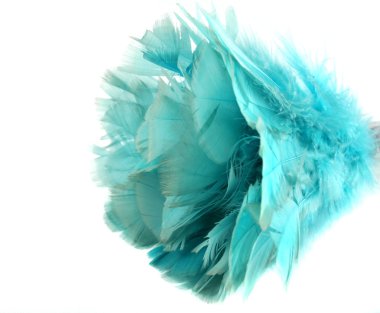 Feather Duster clipart