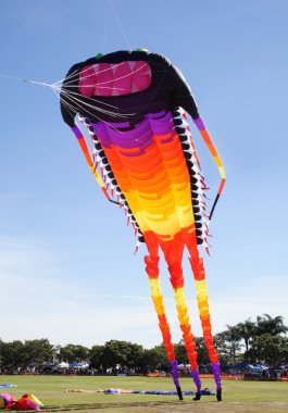 Giant Kite clipart