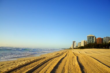 Surfers Paradise Beach clipart