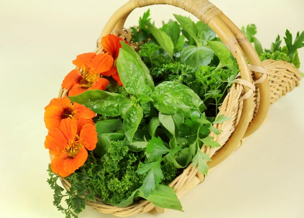Garden Picked Herbs — Stock Photo, Image