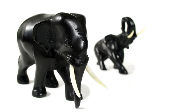 Zwarte olifanten — Stockfoto