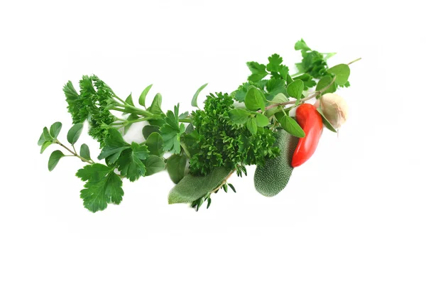 Garland Of Fresh Herbs — Stock Photo, Image