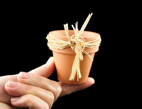 Mini Terracotta Pot — Stockfoto