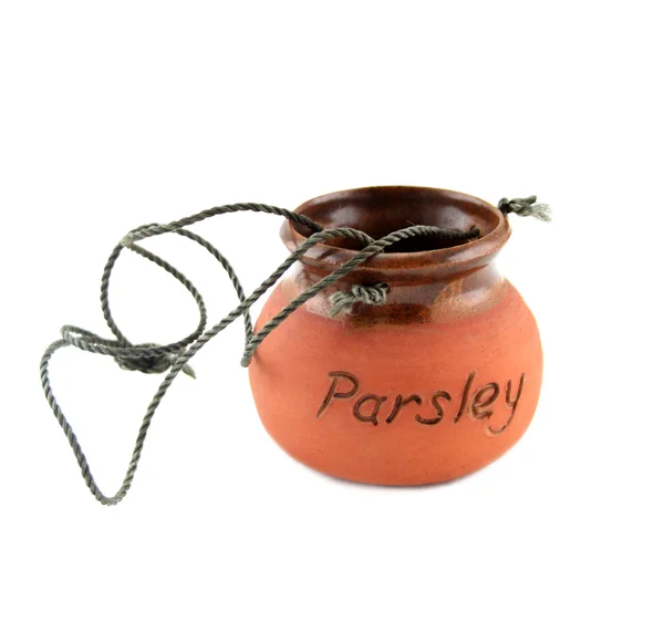 Parsley Pot — Stock Photo, Image