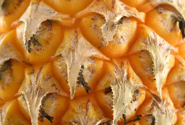 Pelle di ananas sfondo 2 — Foto Stock