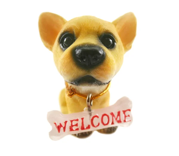 stock image Welcome Dog