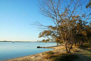 Broadwater Gold Coast Australia clipart