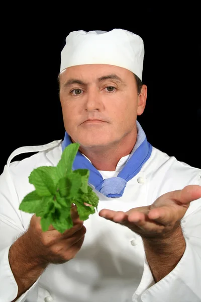 Herb Chef 2 — Stock Photo, Image