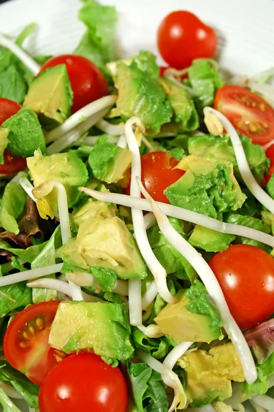 Salat mit Avocado und Sojasprossen — Stockfoto