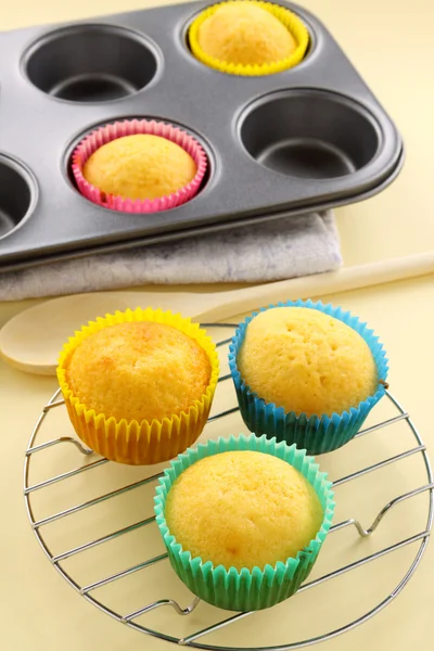Baked Cup Cakes — Stock Photo, Image
