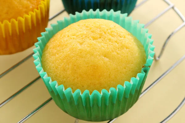 Baked Cup Cake — Stock Photo, Image