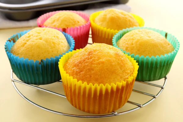 Baked Cup Cakes — Stock Photo, Image