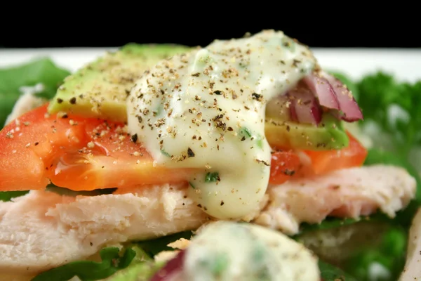 Åben kylling salat Sandwich - Stock-foto