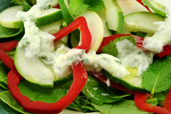 Salat mit Gurken und Minze — Stockfoto