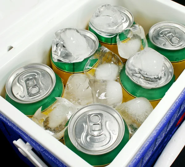 Drinks Cooler — Stock Photo, Image