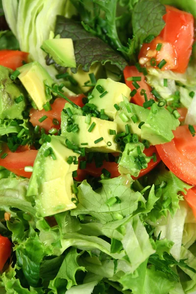 Verse avocado salade — Stockfoto