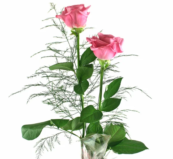 Geschenk rozen 4 — Stockfoto