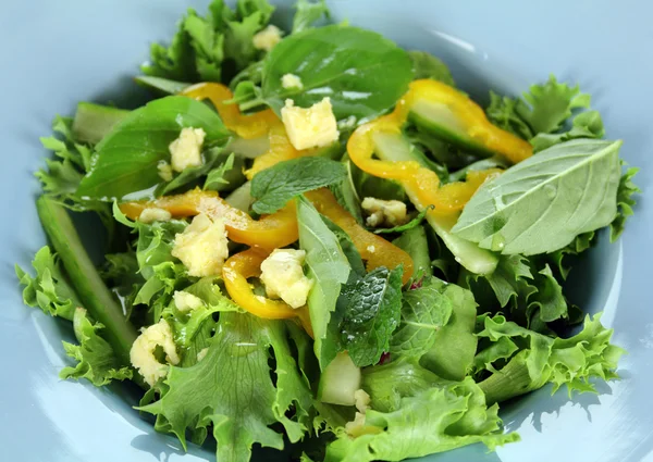 Смешанный салат из листьев — стоковое фото