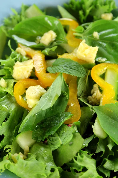 Salade de feuilles mélangées — Photo