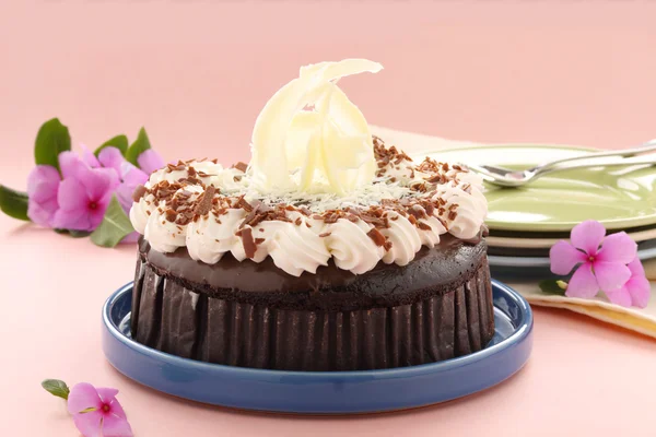 Торт шоколадний бруду — стокове фото