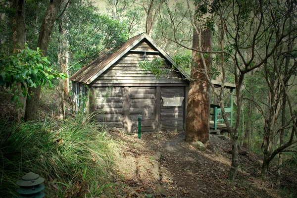 Ancienne cabane en bois rond 1 — Photo