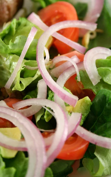 Salad Background 5 — Stock Photo, Image