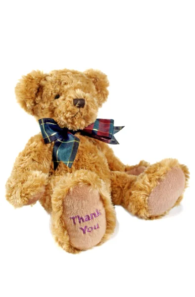 stock image Thank You Teddy 1