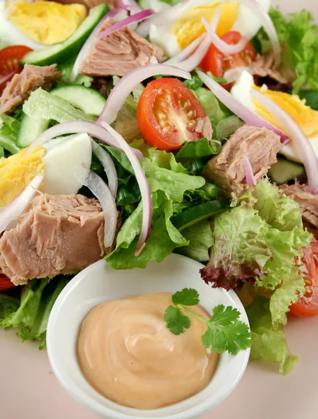 Ton balıklı salata ve dip — Stok fotoğraf