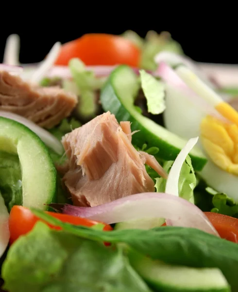 Tonijn en ei salade — Stockfoto