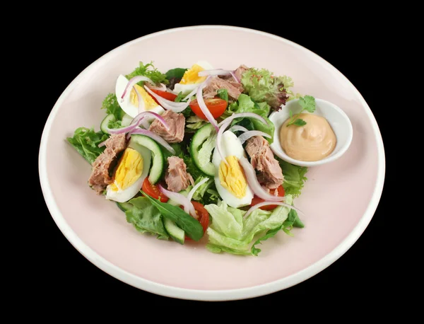 Salată de ton și ouă — Fotografie, imagine de stoc