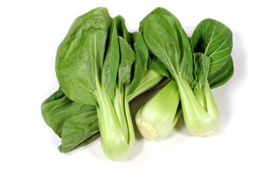 Bok Choy 1 clipart