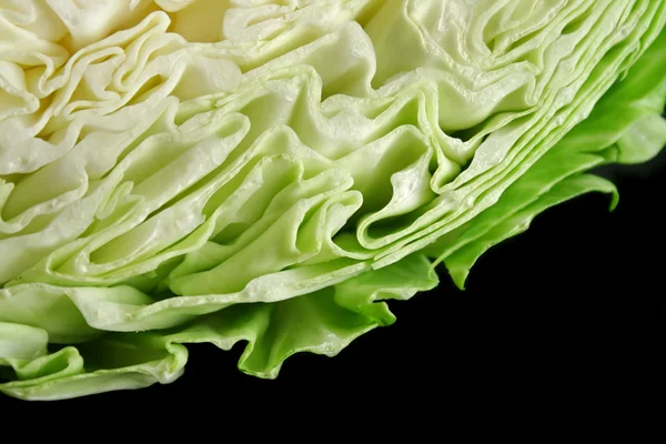 Cabbage Background — Stock Photo, Image