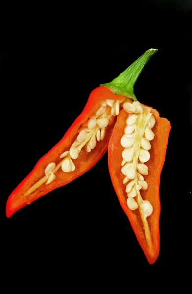 Chili Pepper 1 — Stock Photo, Image
