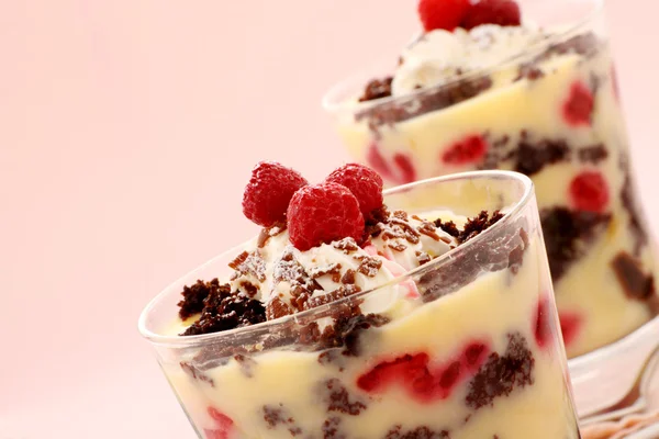 Chocolate Raspberry Trifle — Stok Foto