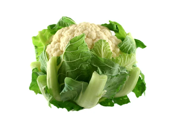 Fresh Cauliflower 1 — Stock Photo, Image