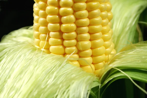 Ervilhas em uma orelha de milho — Fotografia de Stock