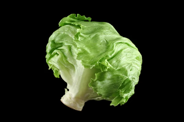 Lettuce 1 — Stock Photo, Image
