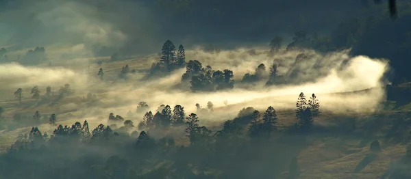 stock image Misty Morning