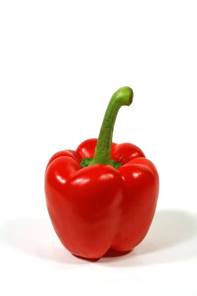 Pepper With Long Stalk — Stock Photo, Image