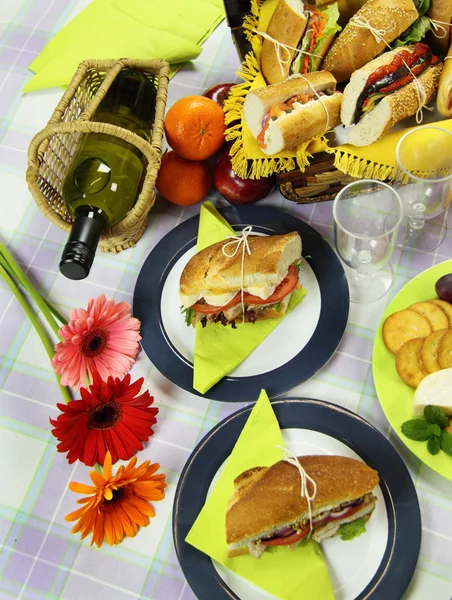 Piknik s vínem — Stock fotografie
