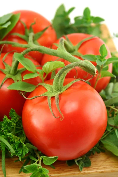 stock image Tomatoes And Herbs