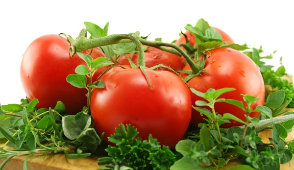 西红柿的草药的床上 — 图库照片