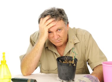 Distraught Nurseryman clipart